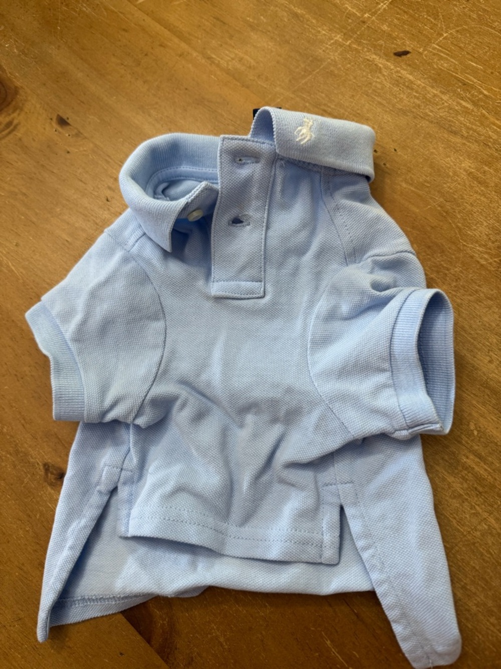 Polo by Ralph Lauren Light Blue Dog Polo Shirt